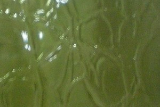Rauchgrün, Craqueleé-Glas,